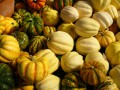 Autumn Gourds (Thumbnail)