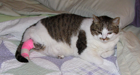 Mabel, November 2005